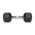 Čuguna gumijotas HEX hanteles REBEL ACTIVE 2x7 kg