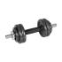 Regulējamas čuguna hanteles koferī ar stieni, Rebel Active, 15 kg