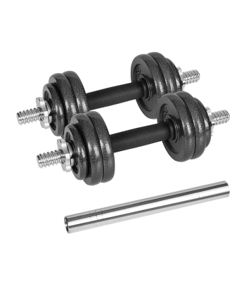 Regulējamas čuguna hanteles koferī ar stieni, Rebel Active, 15 kg