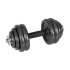 Regulējamas čuguna hanteles koferī ar stieni Rebel Active, 30kg