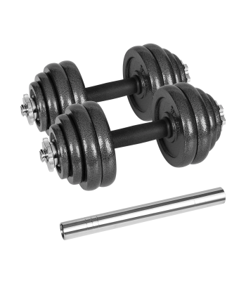 Regulējamas čuguna hanteles koferī ar stieni Rebel Active, 30kg