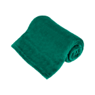 Flīsa sega TEESA, zaļa, 150x200 cm