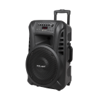 Aktīvā akustiskā sistēma ar 2 bezvadu mikrofoniem, SD, Bluetooth, USB, 12" 40W
