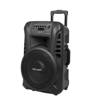 Aktīvā akustiskā sistēma ar 2 bezvadu mikrofoniem, SD, Bluetooth, USB, 12