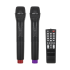 Aktīvā akustiskā sistēma ar 2 bezvadu mikrofoniem, SD, Bluetooth, USB, 12" 40W