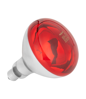 Infrasarkanā lampa Rebel, 100 W, 220–240 V, R125