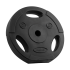 Bitumena svaru disku komplekts ar rokturiem Rebel Active, 2x10kg, 31mm