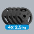 Bitumena svaru disku komplekts ar rokturiem REBEL ACTIVE, 4x2.5kg, 31mm