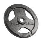 Čuguna olimpiskais svaru disks ar rokturiem Rebel Active, 25 kg, 51 mm