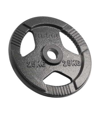 Čuguna olimpiskais svaru disks ar rokturiem Rebel Active, 25 kg, 51 mm