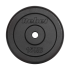 Čuguna svaru disku komplekts Rebel Active, RBA-2130, 2 x 15 kg, 31 mm
