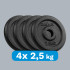 Čuguna svaru disku komplekts, klasiskie diski REBEL ACTIVE, 4x2.5kg, 31mm, RBA-2127