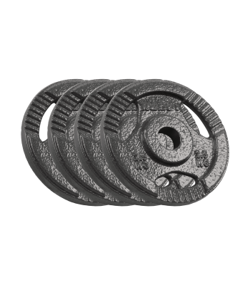 Čuguna svaru disku komplekts Rebel Active RBA-2133, 4 x 2,5 kg, 31 mm