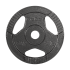 Čuguna svaru disku komplekts ar rokturiem Rebel Active, 4 x 5 kg, 31 mm, RBA-2134