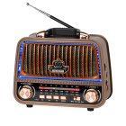 Pārnēsājams analogais radio Kruger&Matz KM 833