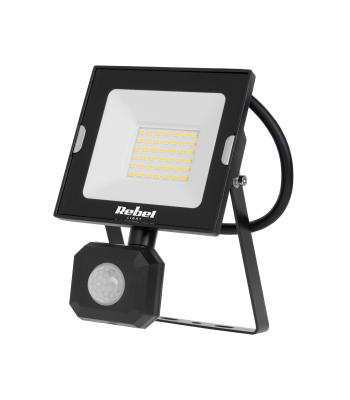LED prožektors ar kustības un krēslas sensoru Rebel, 4000K, 230V, 30W