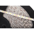 LED diožu lente Rebel, silti balta, ūdensizturīga, 12V (1500x5050 SMD), 25m