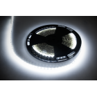 LED lente Rebel, auksti balta gaisma, 12V, 25m (60x5050SMD/m)