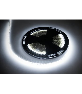 LED lente Rebel, auksti balta gaisma, 12V, 25m (60x5050SMD/m)