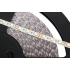LED lente Rebel, auksti balta gaisma, 12V, 25m (60x5050SMD/m)