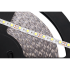 LED diožu virtene Rebel, auksti balta, 12 V (1500x5050 SMD), 25 m