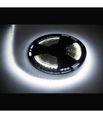 LED diožu virtene Rebel, auksti balta, 12 V (1500x5050 SMD), 25 m