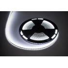 LED diožu virtene Rebel, auksti balta, ūdensizturīga, 12V, 25m (1500x5050 SMD)