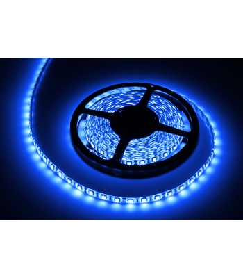 LED lente Rebel, zila, ūdensizturīga, 12 V, 5m (300x5050)