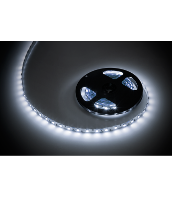 LED lente Rebel auksti balta, 12V, 5m (300x5050)