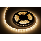 LED lente Rebel, silti balta, ūdensizturīga, 12 V, 5 m (300x5630)