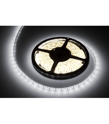 LED diožu virtene Rebel, auksti balta, ūdensizturīga (300x5050 SMD) 12V, 5m