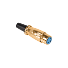 Mikrofona spraudnis GOLD, sieviešu, kabelim, apzeltīts, XLR 3-pin