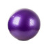 Rehabilitācijas vingrošanas bumba ar pumpi, violeta, 65 cm