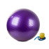 Rehabilitācijas vingrošanas bumba ar pumpi, violeta, 65 cm