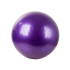 Rehabilitācijas vingrošanas bumba ar pumpi, violeta, 65 cm