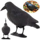 Kraukļa figūra putnu un grauzēju atbaidīšanai, XXL, 40 cm