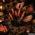 Halloween dekorācija ar asiņainiem mākslīgajiem pirkstiem, 5 gab.