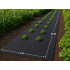 Melns mulčēšanas agrotekstils DIVODV, 50 g/m², 1x20m