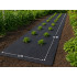Melns mulčēšanas agrotekstils pret nezālēm DIVODV, 50 g/m², 1,5 m x 10 m