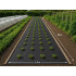 Mulčēšanas agrotekstils pret nezālēm, melns, 50 g/m², 1,5 m × 50 m