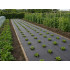 Mulčēšanas agrotekstils pret nezālēm, melns, 50 g/m², 1,5 m × 50 m