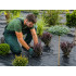 Melns mulčēšanas agrotekstils DIVODV, 70 g/m², 1 × 20 m