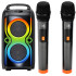 Pārnēsājams bezvadu skaļrunis ar Bluetooth, FM radio un karaoke funkciju, 55 × 26 × 25 cm