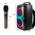 Pārnēsājams bezvadu skaļrunis ar Bluetooth, FM radio un karaoke funkciju, 55 × 26 × 25 cm