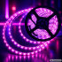 RGB LED lente ar tālvadības pulti, lietotni, Music Sync un barošanas bloku, 10 m, 12 V, 2835RGB