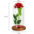 Mūžīgā sarkanā roze stikla kupolā ar LED apgaismojumu, dāvana sievietei, 21 cm, pamatnes diametrs 11 cm, kupola diametrs 9 cm