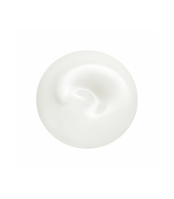 Shiseido Revita lizer ādas fluīds (Total Revita lizer Light Fluid) 70 ml