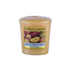 Yankee Candle Mango Peach Salsa, 49 g