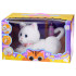 Interaktyvus kačiukas miaukia, įrašo melodijas + kačiukai ZA4694 BI