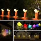 Dārza laternas 2 gab. ar saules enerģiju + RGB LED FM196/21